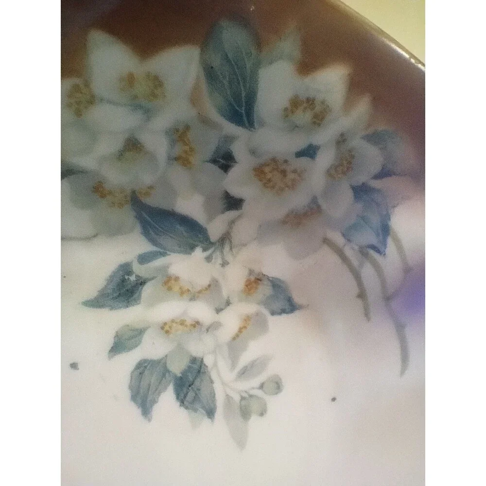 PV Vessra Germany Porcelain Sauce Dish with Underplate Painted Flowers Gold Rim